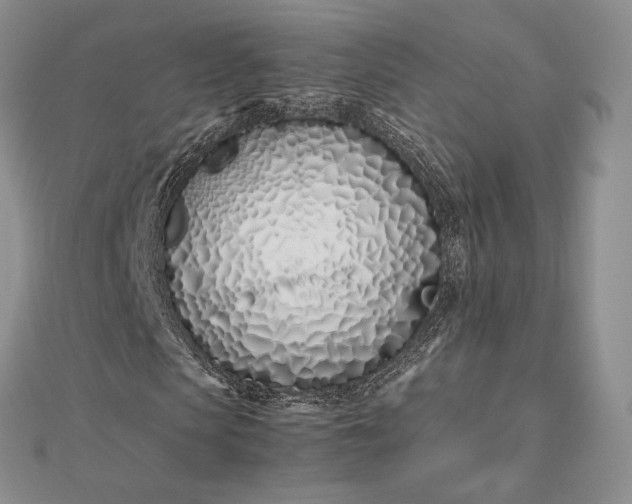 X0000112490913200908311428