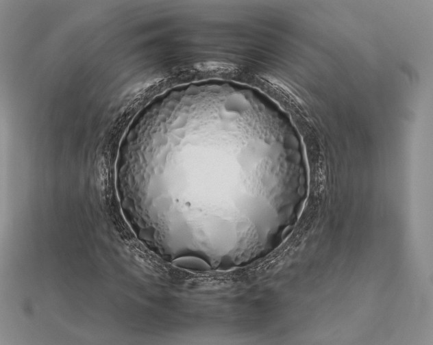 X0000112490917200908311428