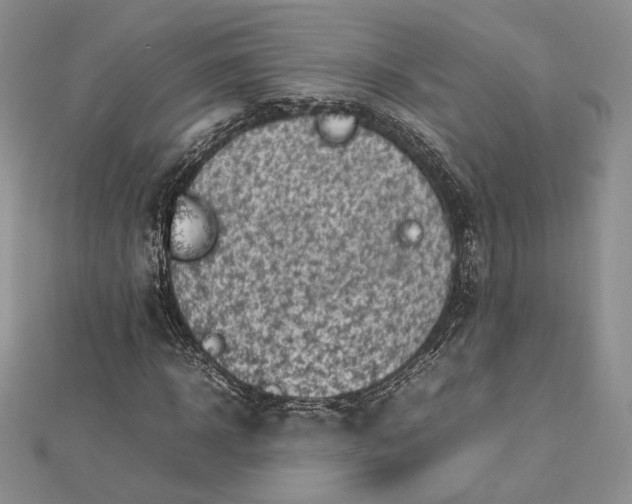 X0000112490918200908311428