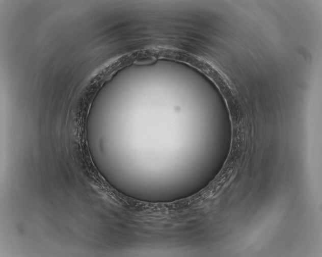 X0000112490919200908311428