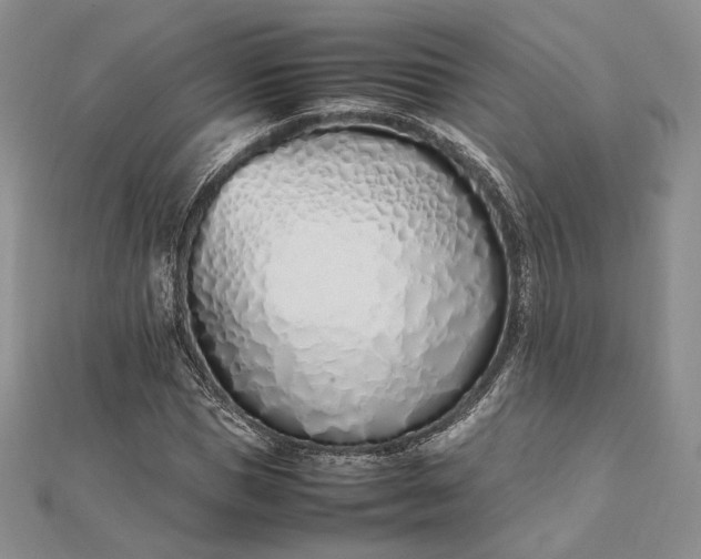 X0000112490921200908311429