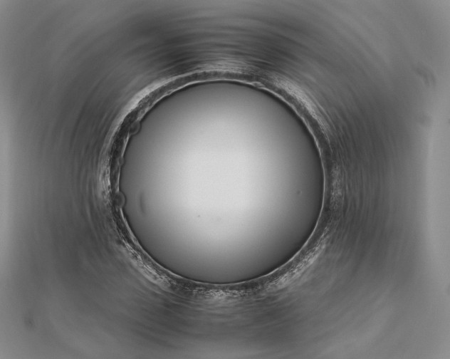 X0000112490923200908311429