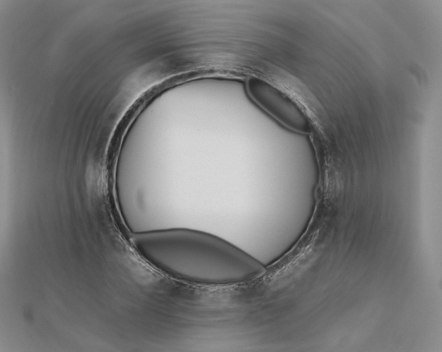 X0000112490924200908311429