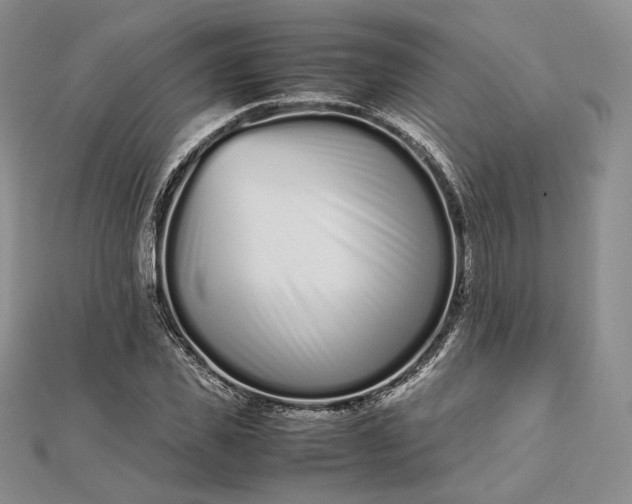 X0000112490925200908311429