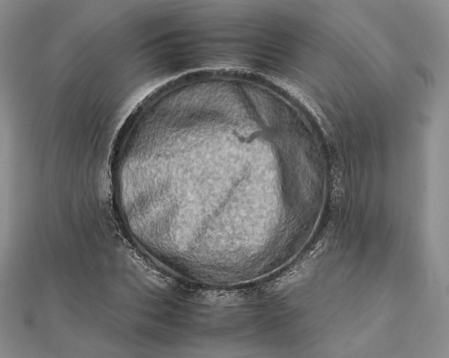 X0000112490927200908311429