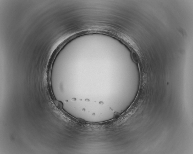 X0000112490928200908311429