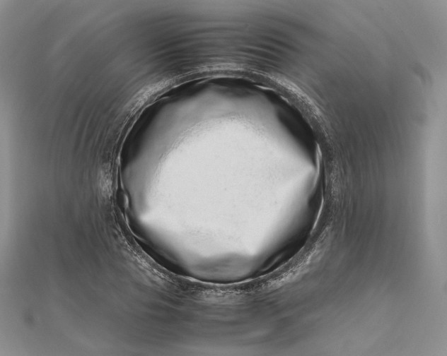 X0000112490929200908311429