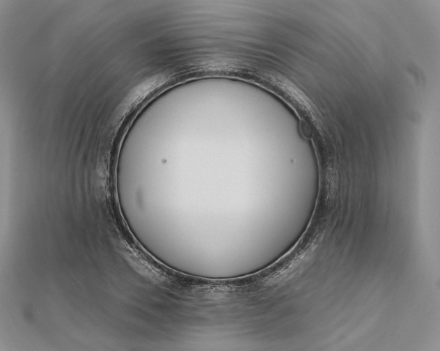 X0000112490930200908311429