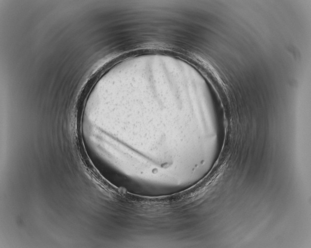 X0000112490931200908311429