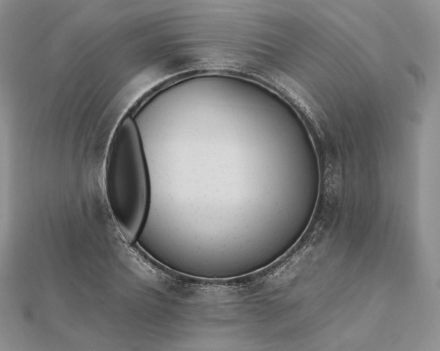 X0000112490932200908311429