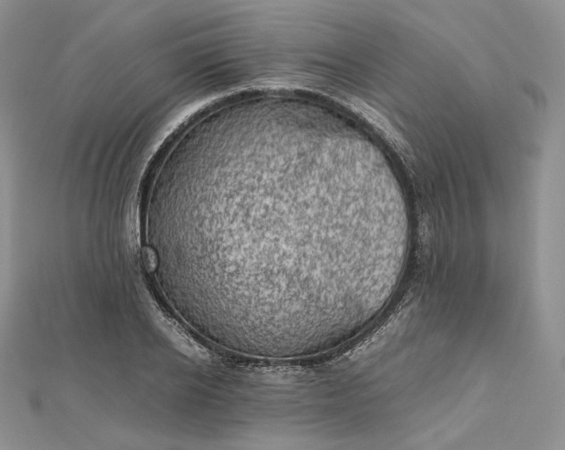 X0000112490934200908311429