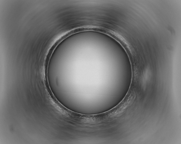 X0000112490935200908311429