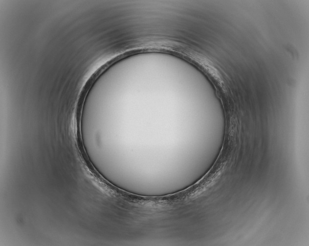 X0000112490936200908311429