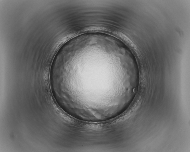 X0000112490937200908311429