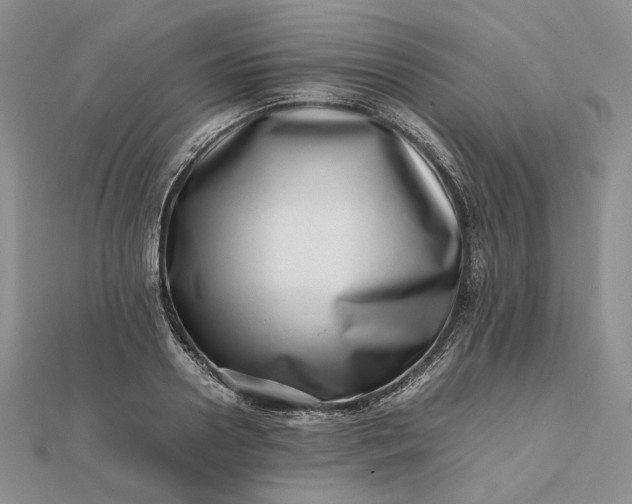 X0000112490938200908311429