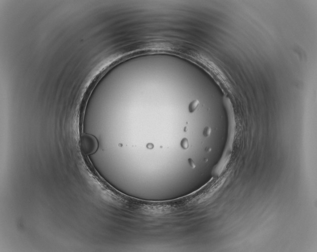 X0000112490939200908311429