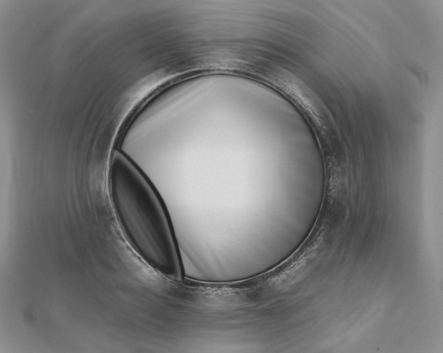 X0000112490940200908311429