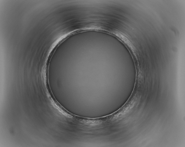 X0000112490941200908311429