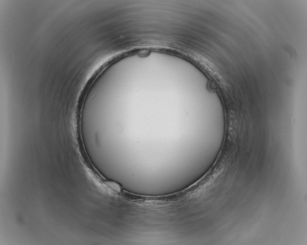 X0000112490942200908311429