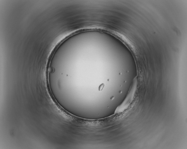 X0000112490943200908311429