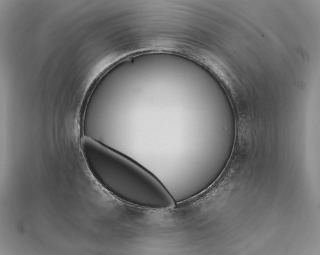 X0000112490944200908311429