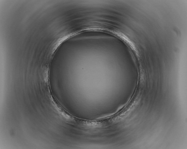 X0000112490945200908311429