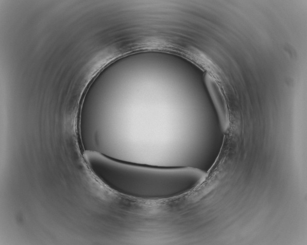 X0000112490946200908311429