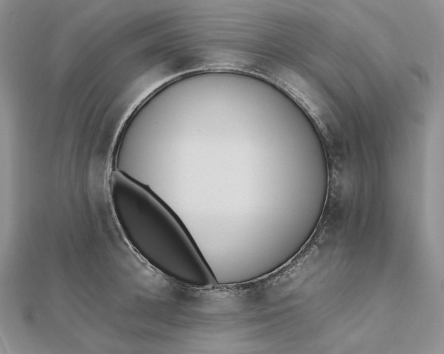 X0000112490948200908311429