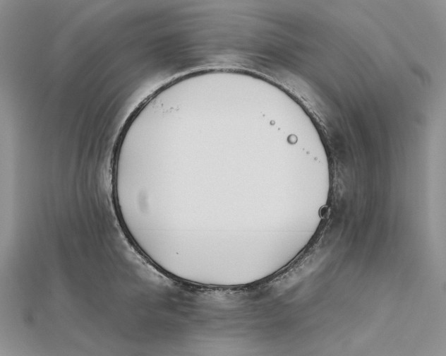 X0000112490950200908311429