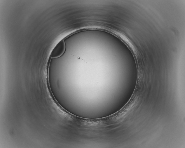 X0000112490951200908311429