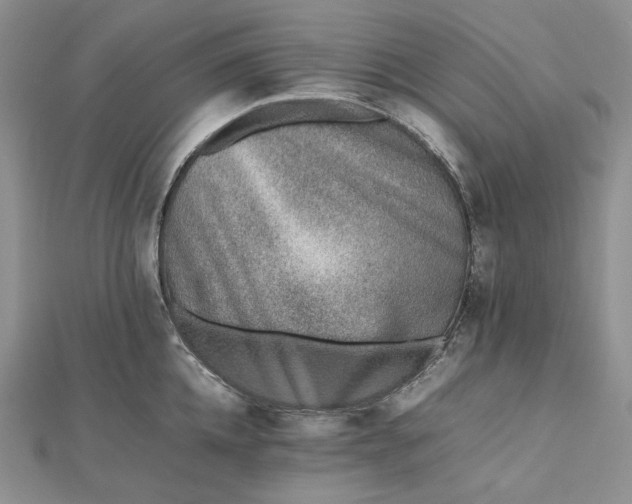 X0000112490952200908311429