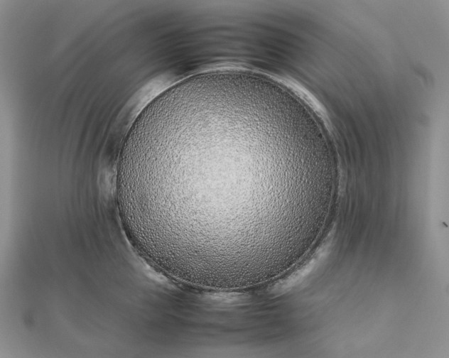 X0000112490953200908311429