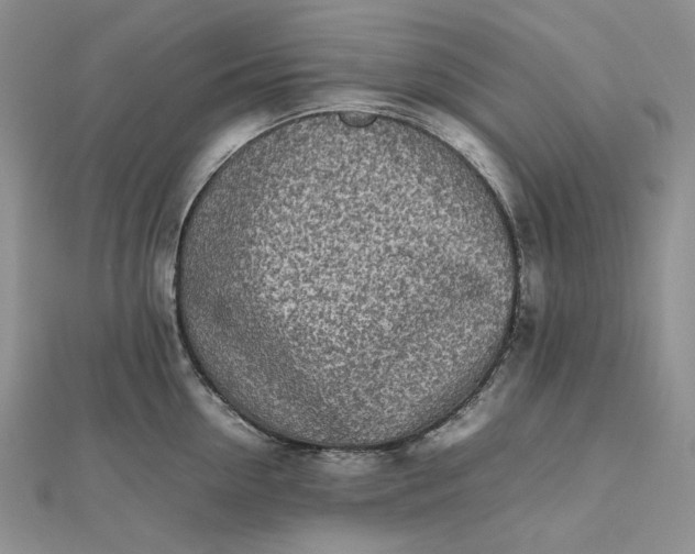 X0000112490954200908311429