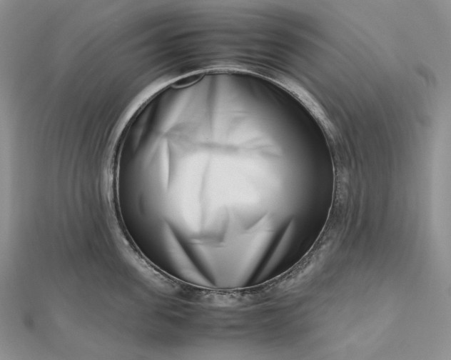 X0000112490955200908311429