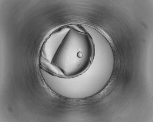 X0000112490956200908311429