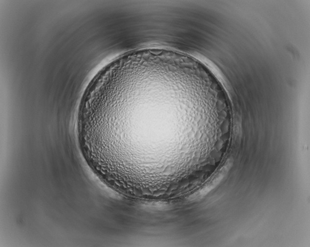 X0000112490957200908311429