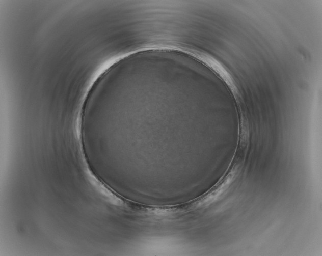 X0000112490958200908311429