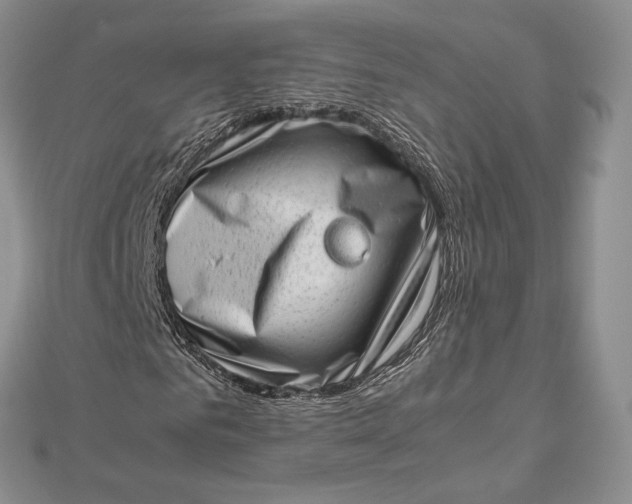 X0000112490961200908311428