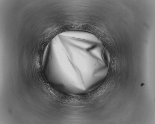 X0000112490962200908311428