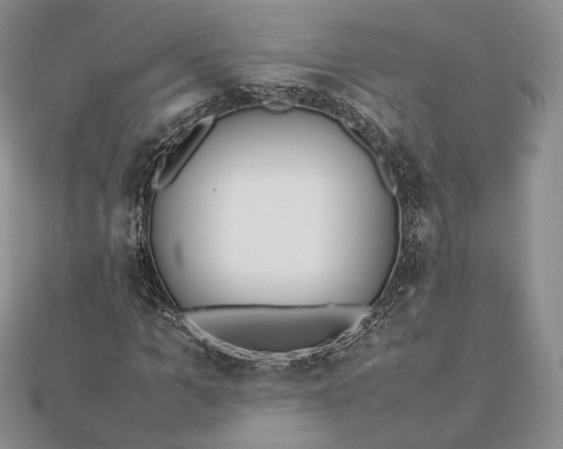 X0000112490965200908311428