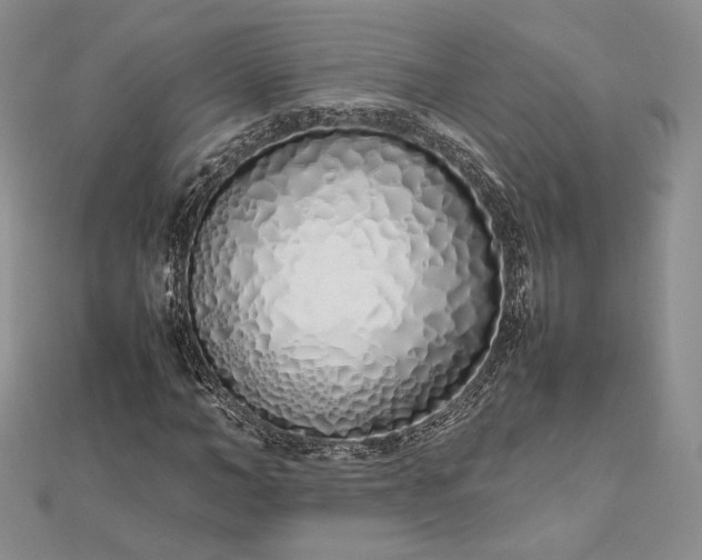 X0000112490966200908311428