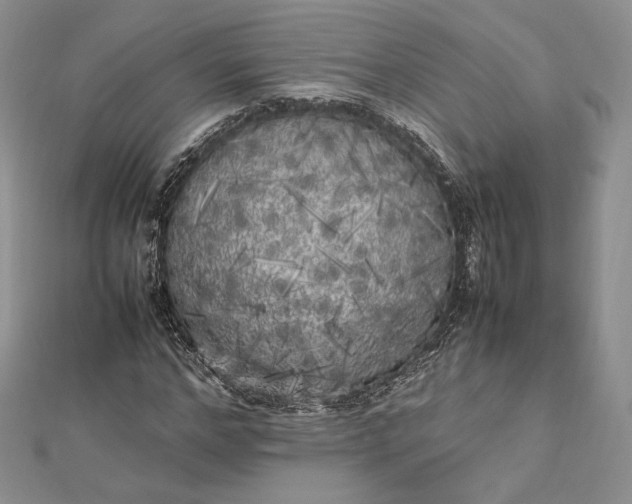 X0000112490968200908311428