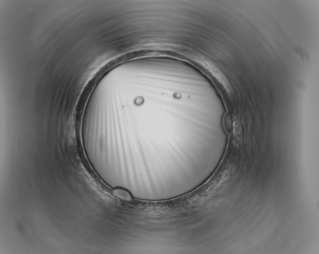 X0000112490972200908311428