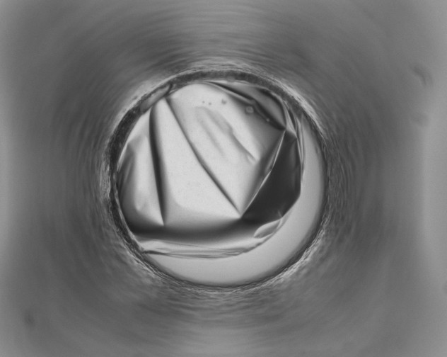 X0000112490973200908311428