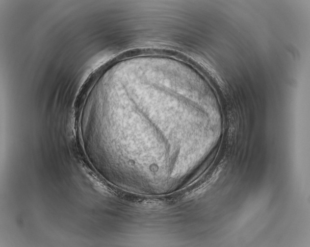 X0000112490974200908311428