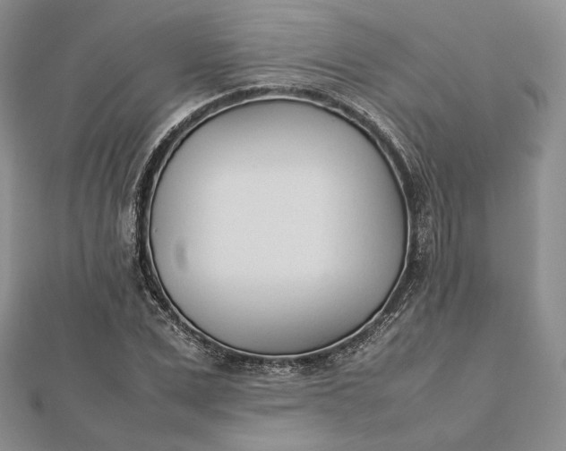 X0000112490975200908311428