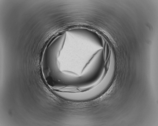 X0000112490977200908311428