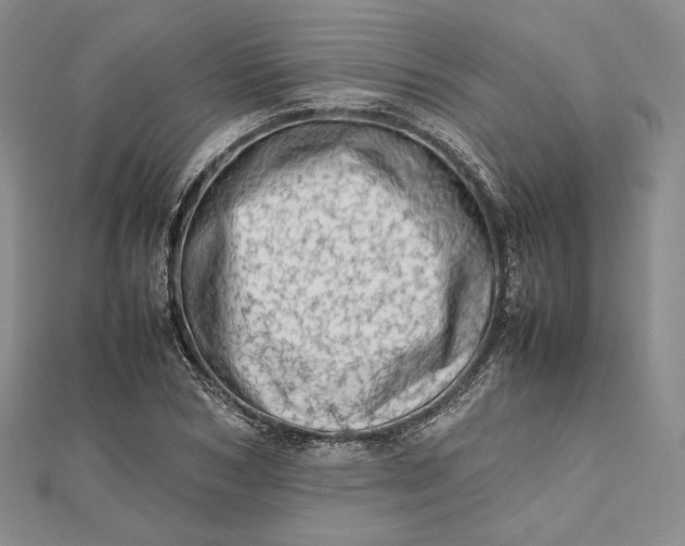 X0000112490978200908311428