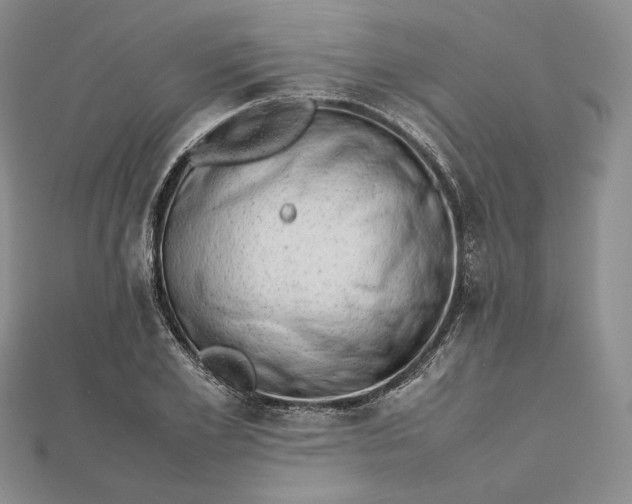 X0000112490981200908311428