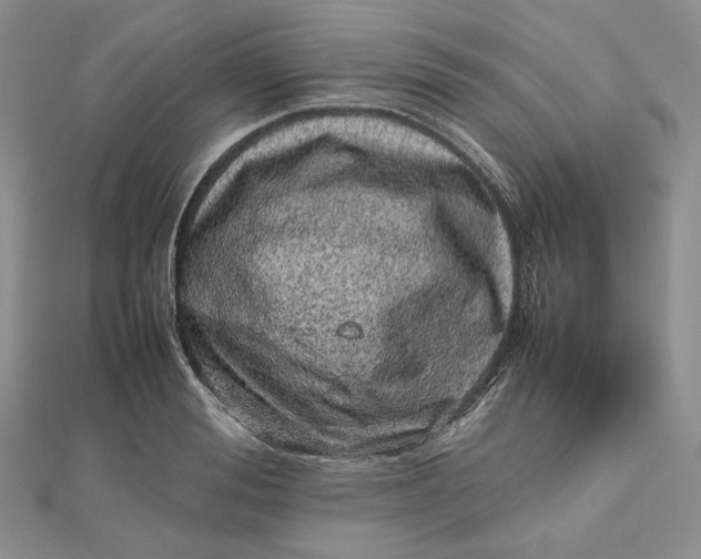 X0000112490988200908311428